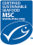 MSC_2020_Logo